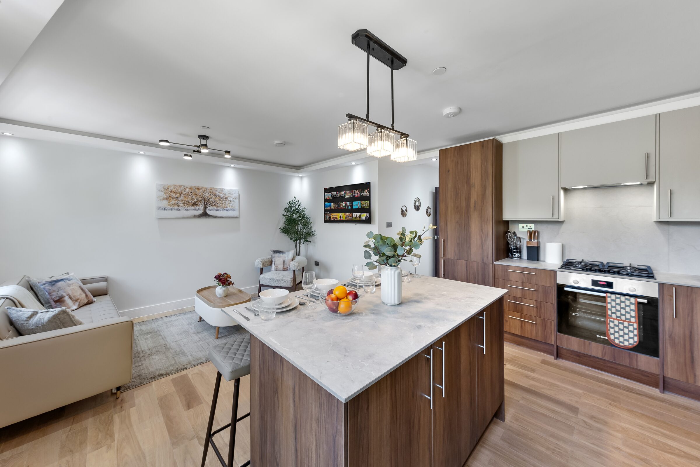 Kitchen island and living area