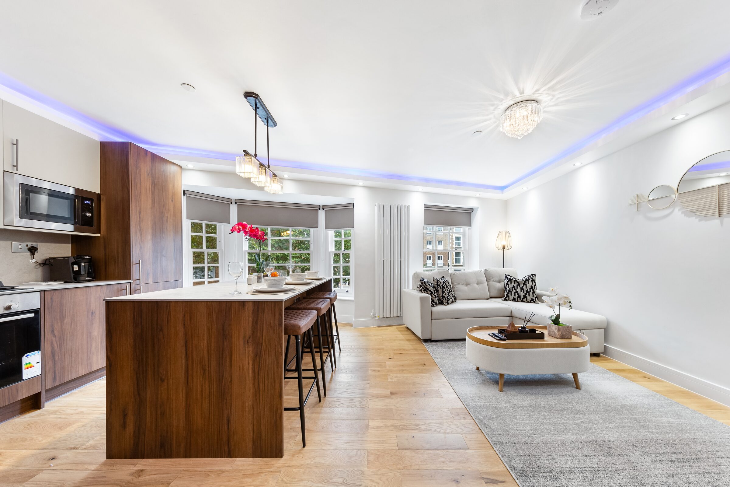 Open-plan kitchen and living
